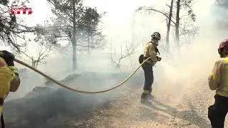 Incendi forestal a Ciutadilla (Urgell) - 31 de juliol 2024