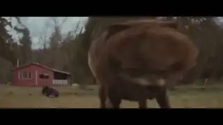 Безумно можно быть первым