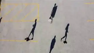 Fun in the Sun