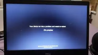 Shoop Da Whoop Has BSOD