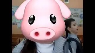 Соня хрюшка
