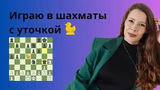 Шахматы с уточкой на chess.com