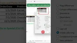 Copy and Paste Visible Cells only in Excel (using Super Fast Shortcut)