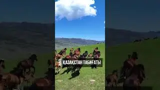 Туған елім, қазақ жерім!