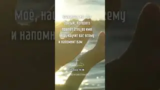 Стихи из Библии на каждый день.  