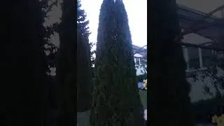 Бурим Для полива газона/✅-Заказать скважину Волгоград+область +7-904-437-41-84 Александр на связи