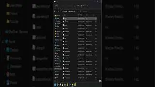 What is npx  #Shorts