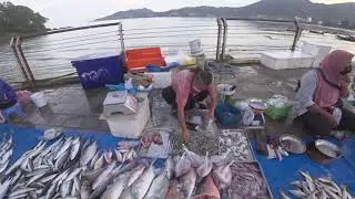Phuket Seafood : Freshest Seafood Secret in Patong Thailand 2022