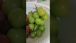 RED AND GREEN GRAPES #grape #greengrape #fruit #shorts #short #shortsvideo #shortvideo #shortsfeed