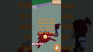 How to Solve the Necklace Mystery Quest in Horse Valley 