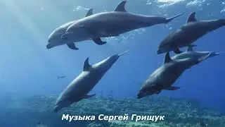 Коллекция красивой инструментальной музыки для успокоения и внутренней гармонии   