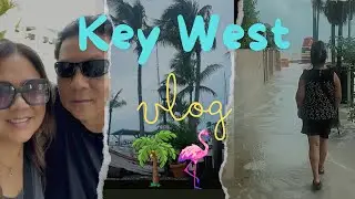 Key West Vlog: Hurricane Debby (cua daj cua dub) Butterfly Conservatory, Hemingway House
