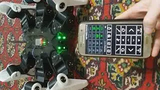 Hexapod AIWM - connection lost test