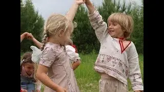 Пусть летят журавли над Россией