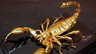 СКОРПИОН. 25.07 - 01.08  2021г. Таро расклад на неделю.