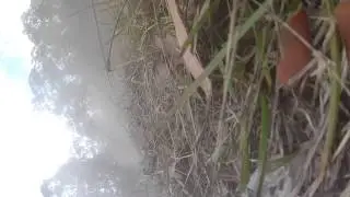 Looped Out Kato