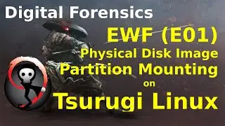 Physical Image and Partition Mounting in Tsurugi Linux