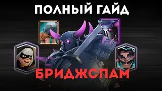 ПОЛНЫЙ ГАЙД НА БРИДЖСПАМ