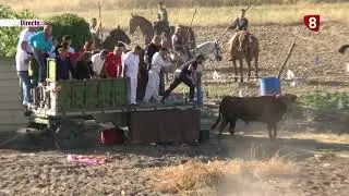 🔴 Live. Carbonero el Mayor Bull Run. Tuesday, September 10, 2024