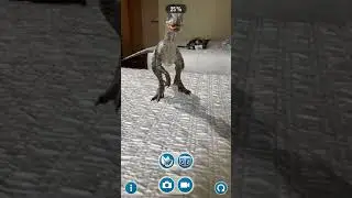 JW Alive Raptor Growth on a bed 2