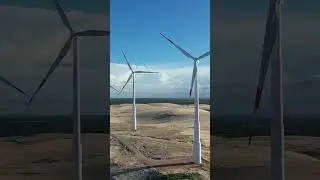 A Contabilidade vai salvar o Meio Ambiente