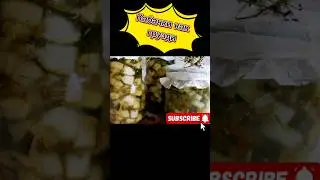 Кабачки как грузди. Подпишитесь на тг канал.  Ссылка в профиле #рецепты #кулинария #вкусно