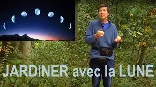 QUELLE est l'INFLUENCE de la LUNE sur la CULTURE des PLANTES du JARDIN ?