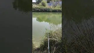 релакс природа