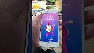iPhone appl 