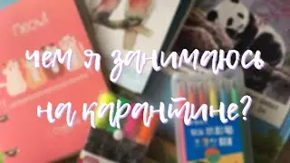 чем я занимаюсь на карантине? 🍡 канцелярия