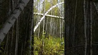 Ветротворчество