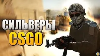 Вырываемся из Сильверов в CS GO . Counter-Strike: Global Offensive
