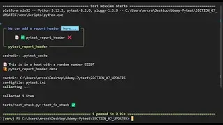 PyTest-Full-Stack 06 - How to modify the CSV output report