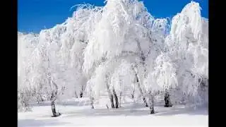Времена года