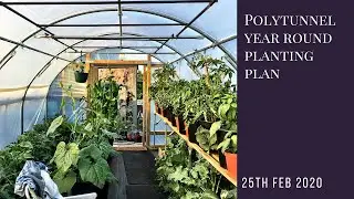 Polytunnel year round planting plan