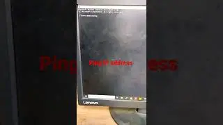 How to use the Ping command to test your network?