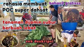 HOW TO MAKE LIQUID ORGANIC FERTILIZER | SUPER POWERFUL MALE AND FEMALE BACTERIA FOR LUSH PLANTS A...