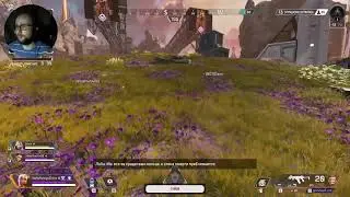 Apex