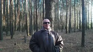 ЖИРИНОВСКИЙ, МУРЗИН и объём талии