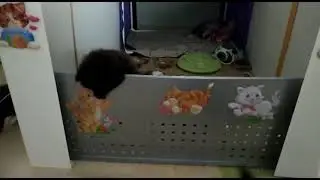 Побег)
