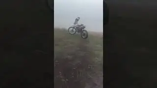 31 декабря 2023 г.