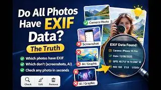 Do All Photos Have EXIF Data? The Truth