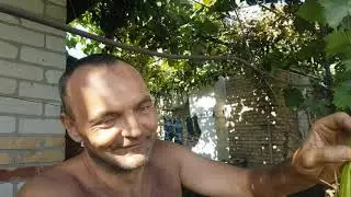 Подводим итоги лета 2020