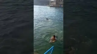 девушка плывёт в море 