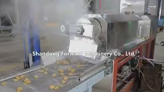 Textured soy protein machine