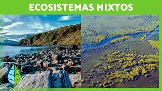 Los ECOSISTEMAS MIXTOS 🏝️🏞️ (Características, TIPOS de Ecosistemas Mixtos y Ejemplos)