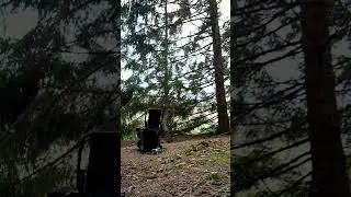RC Car in the forest