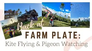 Farm Plate: Kite Flying & Pigeon Watching