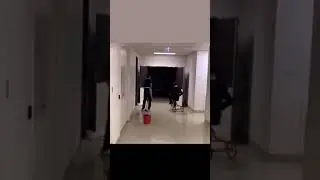Try not to laugh #funny