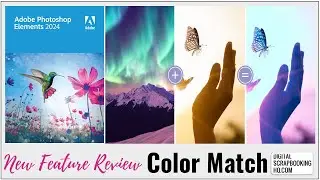 Color Match in Photoshop Elements 2024